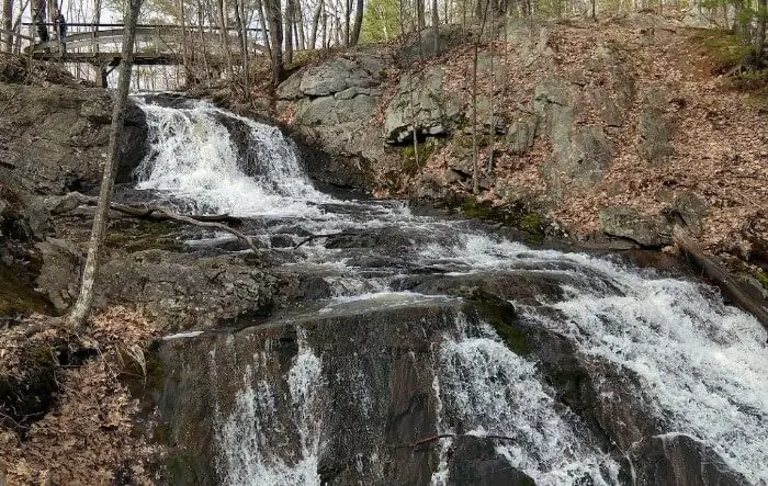 Forest City Trail