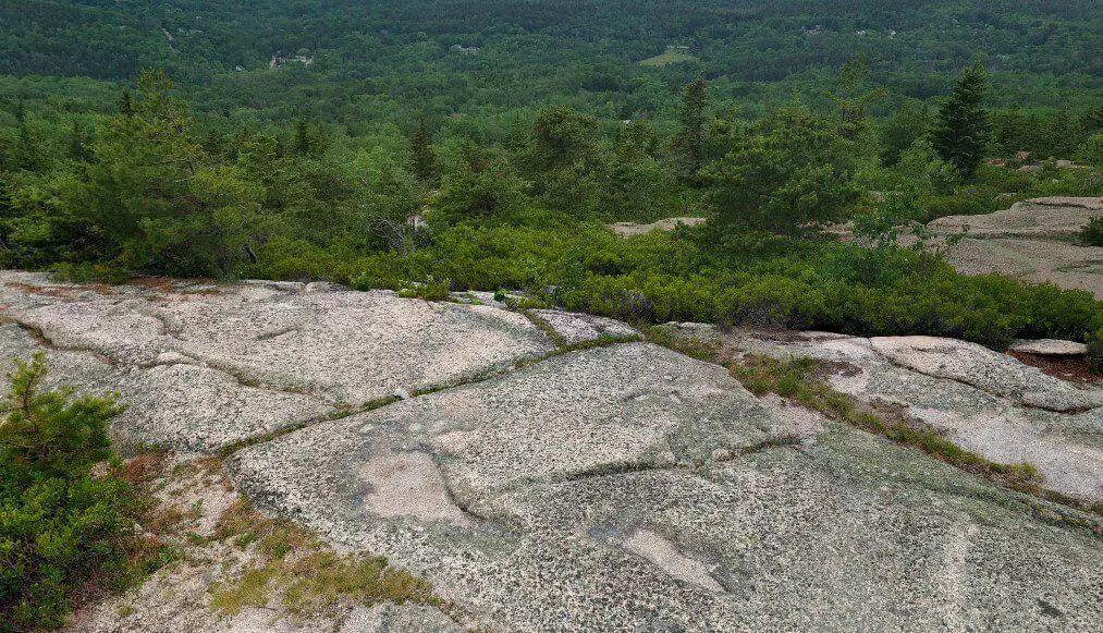 Gorham Mountain Trail