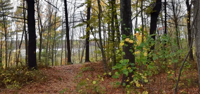 Great Pond Trail