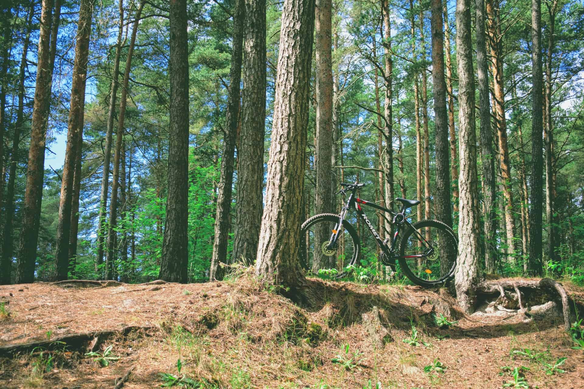 Bike riding on trails